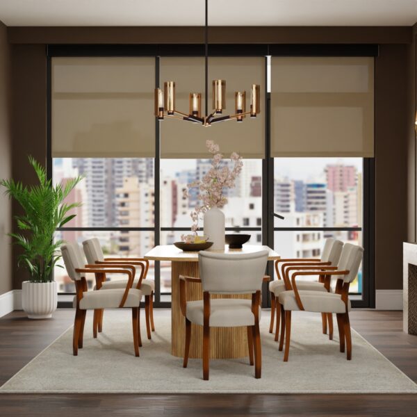 Light Filtering Roller Shades in Dining Room