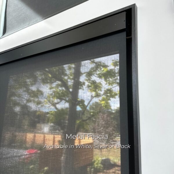 Black Fascia