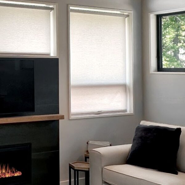 living room with tan ambience fabric roller shades - cordless operation